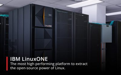 IBM LinuxONE: The most high performing platform to extract the open-source power of Linux.