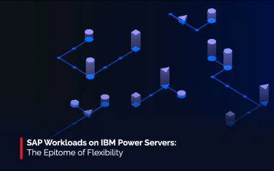 SAP Workloads on IBM Power Servers: The Epitome of Flexibility
